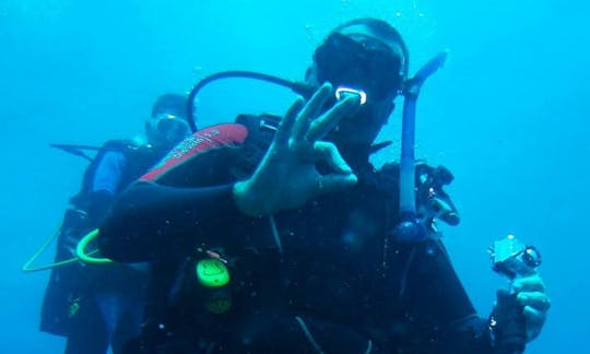 Enjoy Diving Trips in Randburg, Gauteng