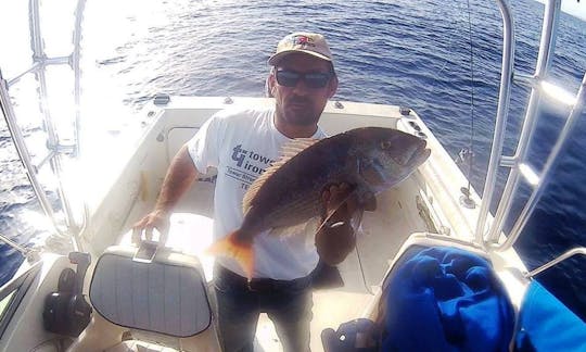 Disfruta de la pesca en Qala, Malta, en Sport Fisherman