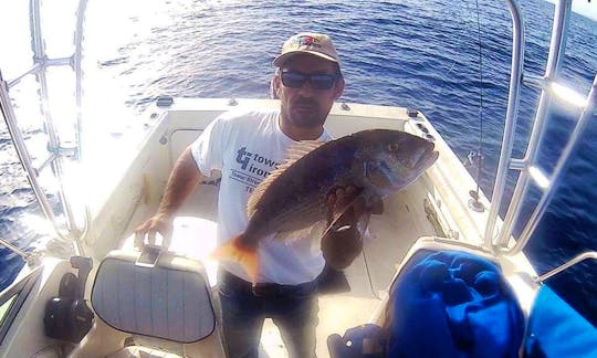 Enjoy Fishing in Qala, Malta on Sport Fisherman