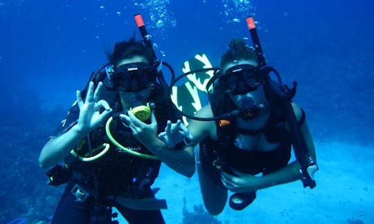 Disfruta de viajes y cursos de buceo en Lacona, Italia