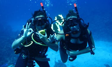 Try Diving in St. Paul's Bay, Malta