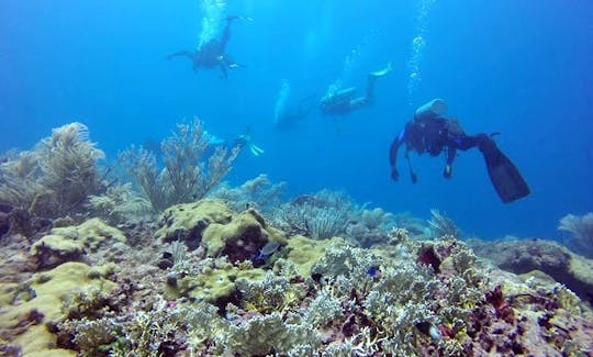 Scuba Lessons In Diego Martin Regional Corporation, Trinidad and Tobago