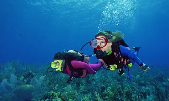 Scuba Lessons In Diego Martin Regional Corporation, Trinidad and Tobago