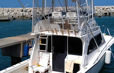 Puerto Plata Fishing Charter for 7 People