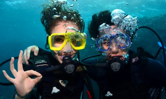 Enjoy Diving Course In Johannesburg, South Africa