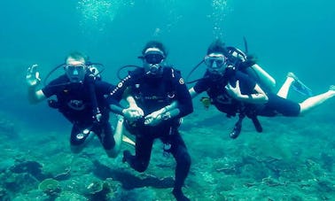 Disfruta de los cursos de buceo en Pretoria, Gauteng