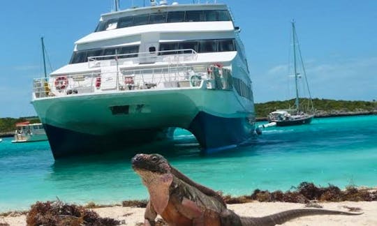 Aqua Cat Cruises anchored at Allen's Cay