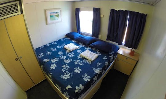 King Size bed accommodations and large windows