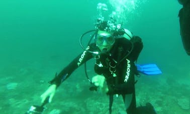 Disfruta de los cursos de buceo en Durban North, KwaZulu-Natal