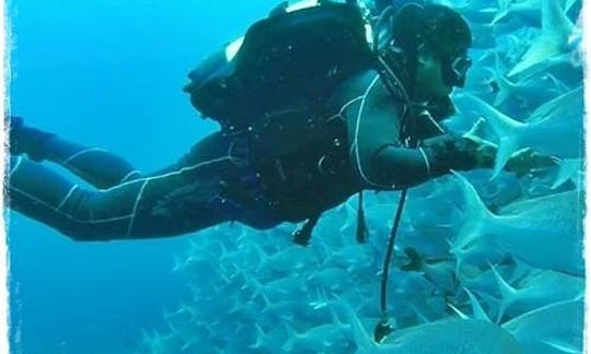 Enjoy Diving Courses in Durban North, KwaZulu-Natal