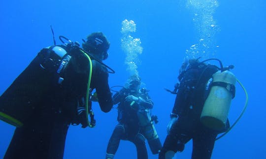 Enjoy Diving Courses in Durban North, KwaZulu-Natal