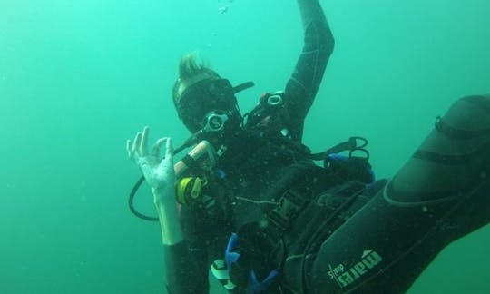 Enjoy Diving Courses in Durban North, KwaZulu-Natal