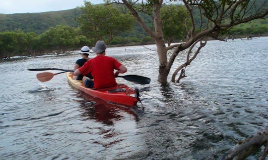 Guided Kayak Tours in Ngqeleni, Eastern Cape