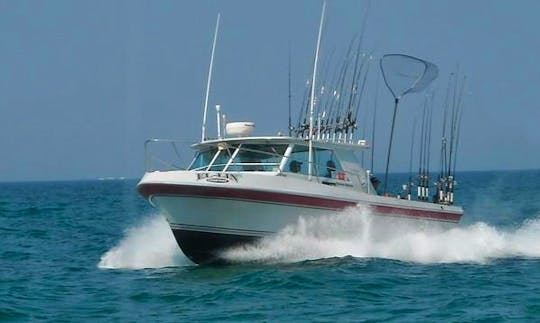 Enjoy fishing on 28' Cherokee Boat in Hart, Michigan with Captain Dave