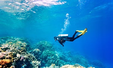 Disfruta de viajes de buceo en Tahuna, Sulawesi del Norte