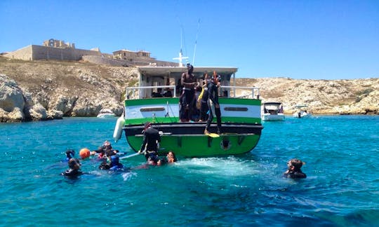 Enjoy Diving Courses in Marseille, France