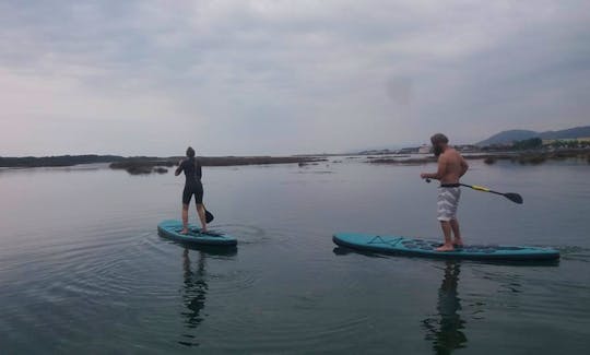 Stand Up Paddleboard Tour and Lesson in Esposende, Portugal