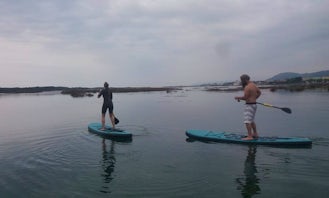Stand Up Paddleboard Tour and Lesson in Esposende, Portugal