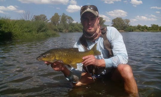 Enjoy Fly Fishing Tours in Potchefstroom, South Africa