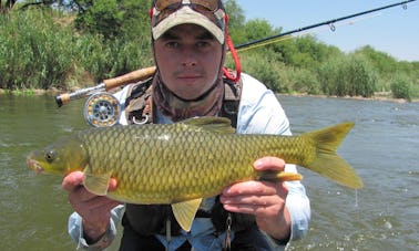 Desfrute de passeios de pesca com mosca em Potchefstroom, África do Sul