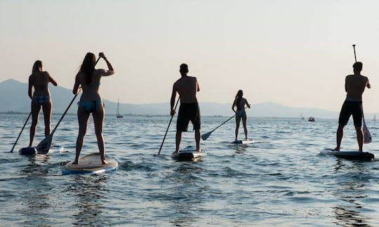 2 Hours Stand Up Paddleboard Trip in Lochau, Austria