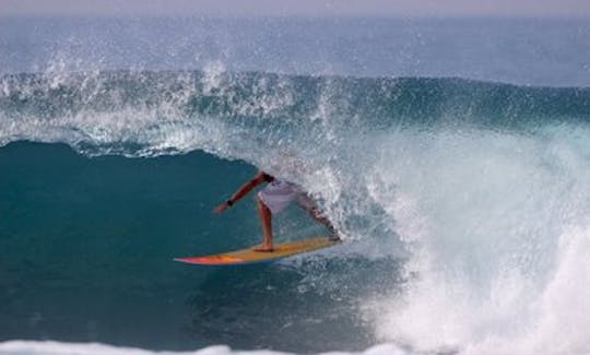 Surfing Lessons In Auckland, New Zealand