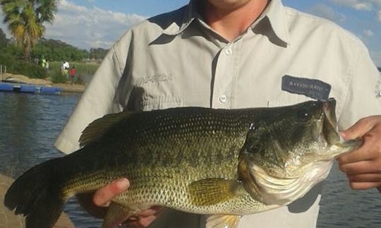 Disfrute de viajes de pesca con mosca en Secunda, Mpumalanga