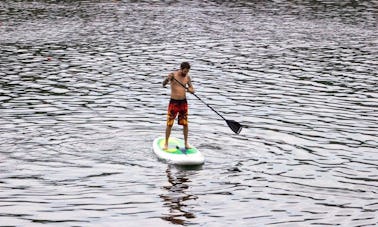 Aproveite o aluguel de stand up paddleboard em Viena, Áustria