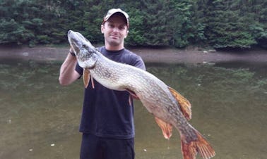 Profitez de la pêche à la mouche en Haute-Autriche, en Autriche