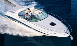 Skippered 30ft Sea Ray Twin-Engine M. Yacht