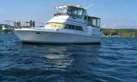 Charter 40ft