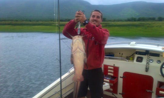 Deep Sea Fishing Charters and Spear fishing Tours in KwaZulu-Natal, South Africa on Cuddy Cabin