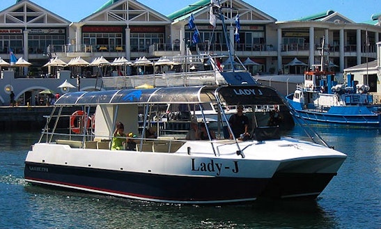 Enjoy Sight Seeing In Cape Town, South Africa On