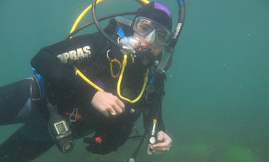 Buceo en el Mar Negro (Rumania y Bulgaria): buceo desde la orilla del mar. ¡Sin barco!