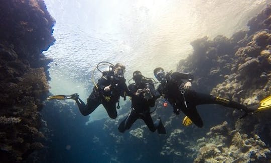 Emocionante aventura de buceo en la gobernación del sur del Sinaí, Egipto