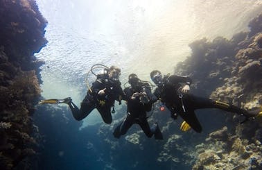 Exciting Diving Adventure in South Sinai Governorate, Egypt