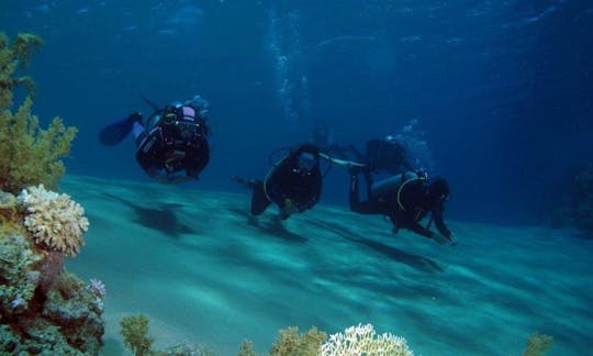 Emocionante aventura de buceo en la gobernación del sur del Sinaí, Egipto