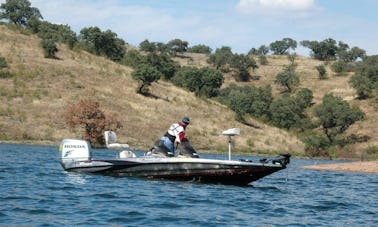 Disfruta de la pesca en Beja, Portugal, en un barco de lubina