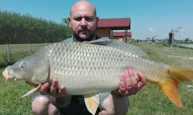 Desfrute de passeios de pesca com mosca em Cionchești, Romênia