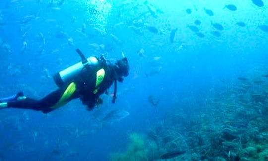 Renowned Diving Spots in Kendwa, Tanzania