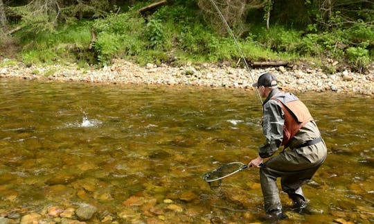 Enjoy Fly Fishing in Transylvania, Romania