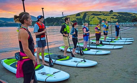 Stand Up Paddle board Lesson in Akaroa, New Zealand