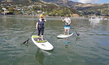 Aluguel de stand up paddleboard em Akaroa, Canterbury