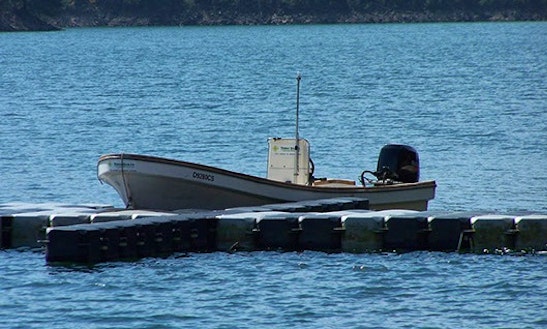 Rent A Center Console In Ferreira Do Zêzere, Portugal