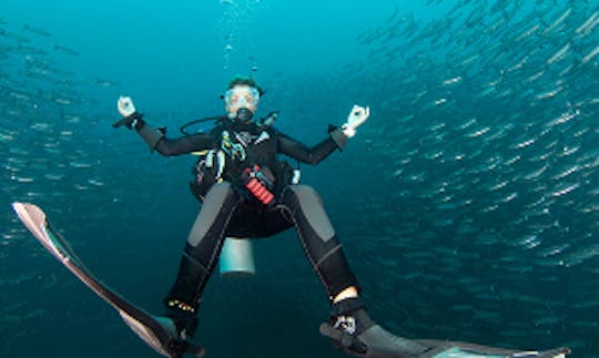 Enjoy Diving In Tambon Ko Tao, Thailand