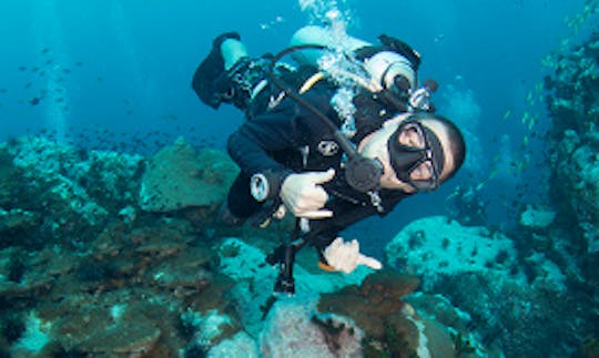 Enjoy Diving In Tambon Ko Tao, Thailand