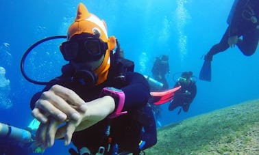 Learn to Scuba in South Sinai Governorate, Egypt