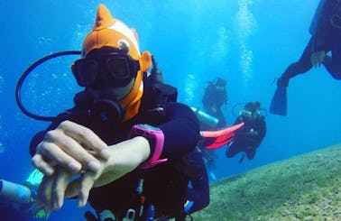 Learn to Scuba in South Sinai Governorate, Egypt