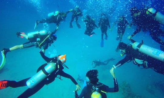 Learn to Scuba in South Sinai Governorate, Egypt