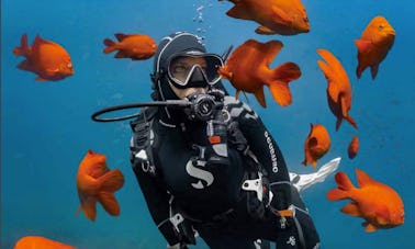 Disfruta de los cursos de buceo en Enschede, Países Bajos